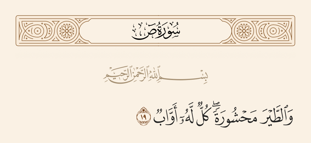 سورة ص الآية رقم 19