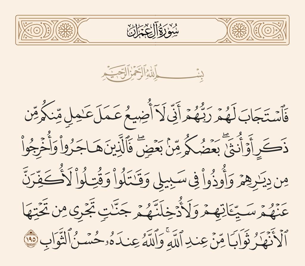 سورة آل عمران الآية رقم 195