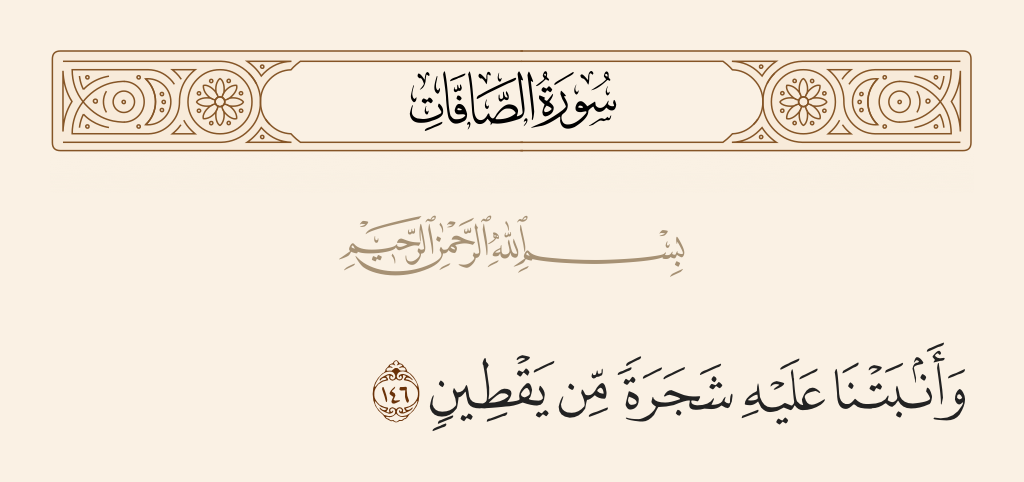 سورة الصافات الآية رقم 146